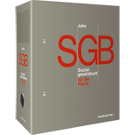 SGB VIII Kinder- und Jugendhilfe