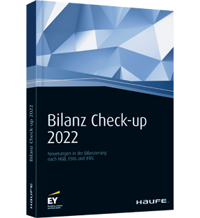 Bilanz Check-up 2013