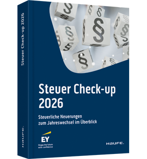 Steuer Check-up 2013