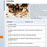 Der Controlling-Berater: BUSINESS DEVELOPMENT: 